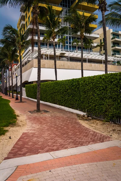 Hotel and palm trees in Miami Beach, Florida. — Stock Photo, Image