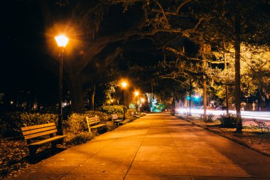 Meşe ağaçları ve gece yolda Forsyth Parkı, Savannah, Georgia.