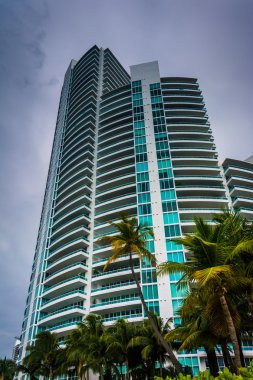 Palmiye ağaçları ve gökdelen South Beach, Miami Beach, Florida.