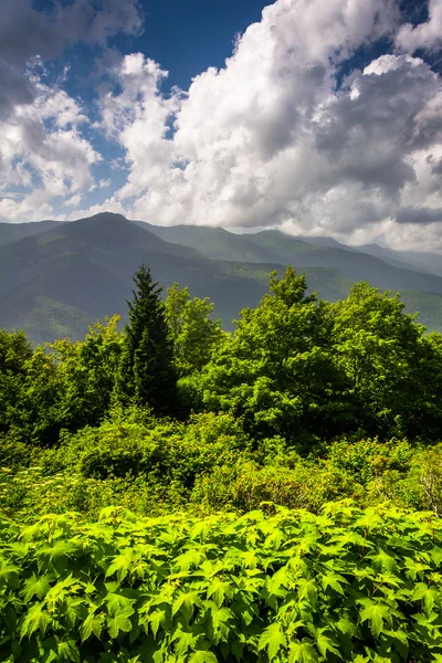 Mid-day view of the Appalachian Mountains from the Blue Ridge Pa — Stock Photo, Image