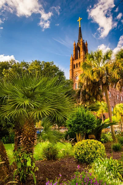 Palm trees and Cathedral of Saint John the Baptist in Charleston — Stock Photo, Image