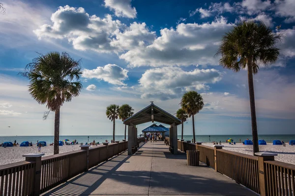 Palmy a rybářské molo v Clearwater Beach, Florida. — Stock fotografie