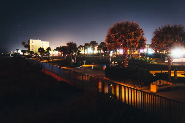 Palm trees and walkway along the beach, in Daytona Beach, Florid — Stock Photo, Image