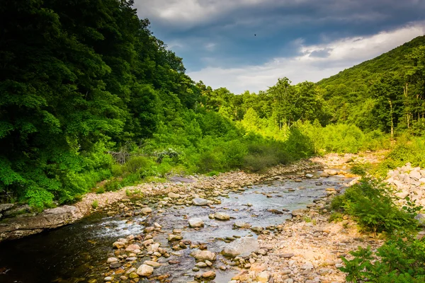 Red Creek, im ländlichen Potomac-Hochland Westvirginiens. — Stockfoto