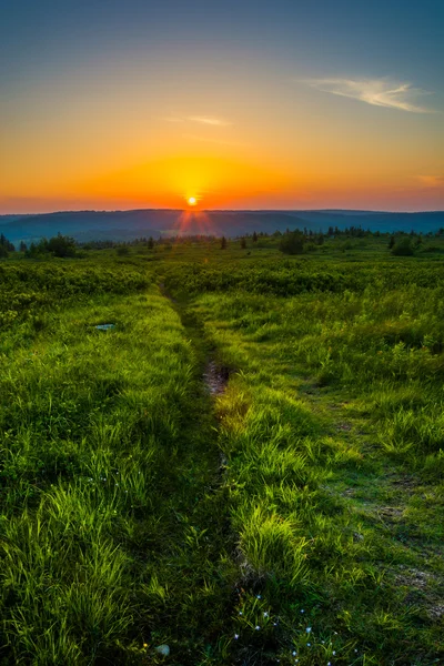 Sunset at Dolly Sods Wilderness, Monongahela National Forest, We — Stock Photo, Image