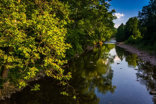 The North Fork South Branch of the Potomac River, in Seneca Rock — Stock Photo, Image