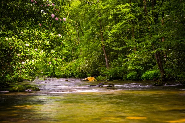 O Rio Oconaluftee, no Parque Nacional Great Smoky Mountains, N — Fotografia de Stock