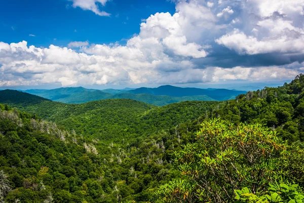 View of the Appalachians from the Blue Ridge Parkway in North Ca — Stock Photo, Image