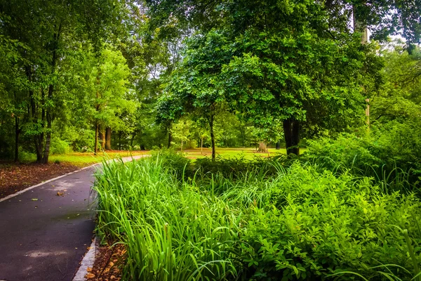 Árboles y plantas a lo largo de un sendero en Piedmont Park, Atlanta, Georgia — Foto de Stock