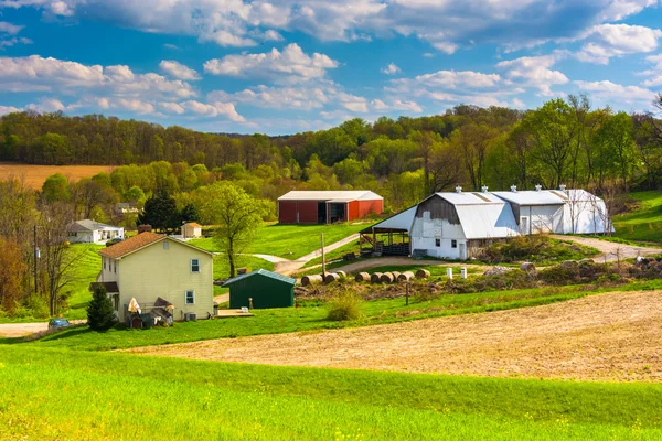 Vista de uma fazenda no condado rural de York, Pensilvânia . — Fotografia de Stock