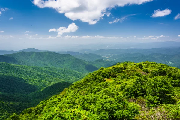 Uitzicht op de Appalachian bergen van steile Pinnacle, op de B — Stockfoto