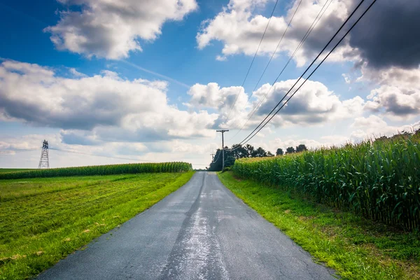 Una strada di campagna nella contea rurale di Baltimora, Maryland . — Foto Stock