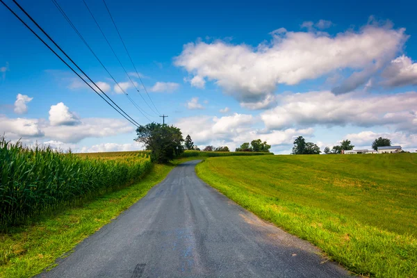 A country road in rural Baltimore County, Maryland. — Stock Photo, Image