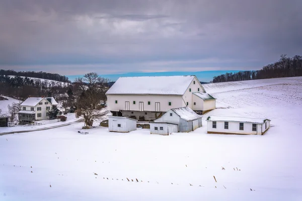 Stodola ve sněhu zahrnuty oblasti hospodářství ve venkovských york county, pennsylv — Stock fotografie