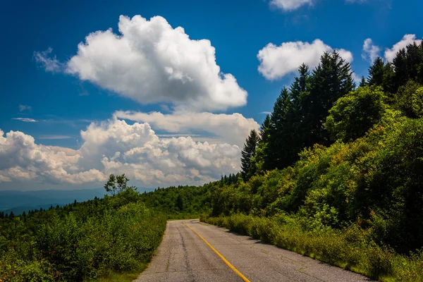 Black Balsam Knob Road, cerca del Blue Ridge Parkway en North Car — Foto de Stock