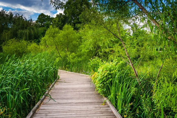 Boardwalk trail along the pond at Patterson Park, Baltimore, Mar — Stock Photo, Image