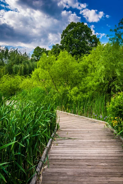 Boardwalk trail along the pond at Patterson Park, Baltimore, Mar — Stock Photo, Image