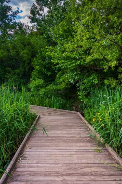 Boardwalk iz patterson Park, baltimore, pond boyunca mar