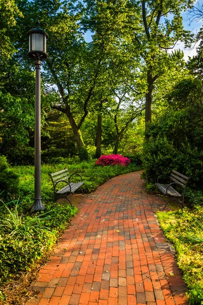 Tégla utat egy erdei kert, a john hopkins Egyetem — Stock Fotó