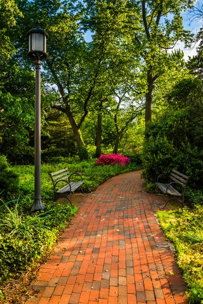 Tegel väg genom en skog trädgård vid john hopkins university — Stockfoto