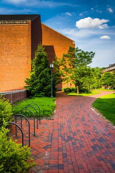 Building and brick walkway at John Hopkins University in Baltimo — Stock Photo, Image