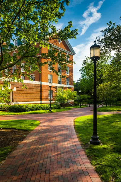Budova a pouličního osvětlení podél cihlový chodník na John Hopkins U — Stock fotografie