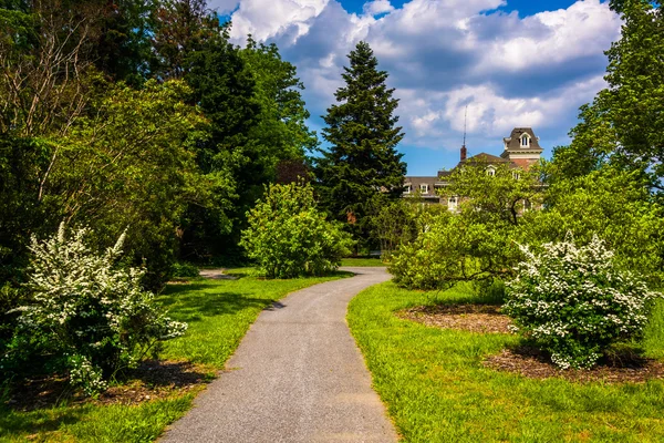 Bushes and trees along a path and the Cylburn Mansion at Cylburn — Stock Photo, Image