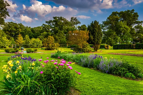 Kleurrijke bloemen in een tuin in druïde hill park, in baltimore, m — Stockfoto