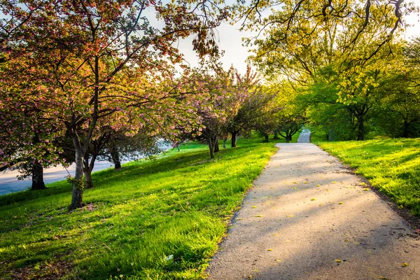 Árvores coloridas ao longo de um caminho em Druid Hill Park, Baltimore, Maryl — Fotografia de Stock