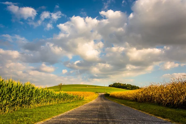 Landweg en grote heuvel, in de buurt van spring grove, pennsylvania. — Stockfoto