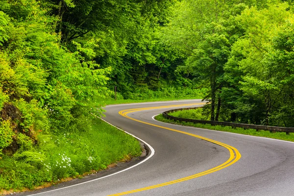 Curva sulla nuova strada Gap a Great Smoky Mountains National Par — Foto Stock