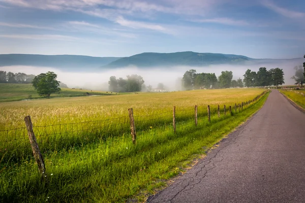 Campos agrícolas a lo largo de un camino de campo en una mañana brumosa en el Potom — Foto de Stock