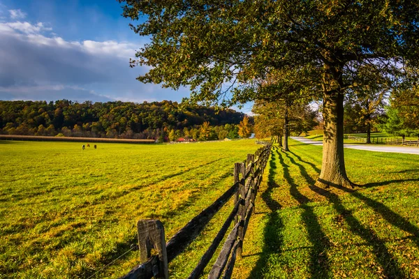 围栏和树沿着一条乡间小路在农村纽约县 pennsy — 图库照片