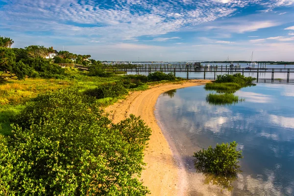 Ranní zamyšlení na sůl běh, v St. Augustine Beach, Florida — Stock fotografie