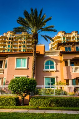 Palmiye ağaçları, evler ve Saint Petersburg, Florida kınamak kuleleri