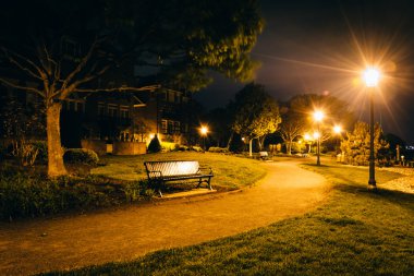 Alexandria, virginia bir parkta geceleri yolu.