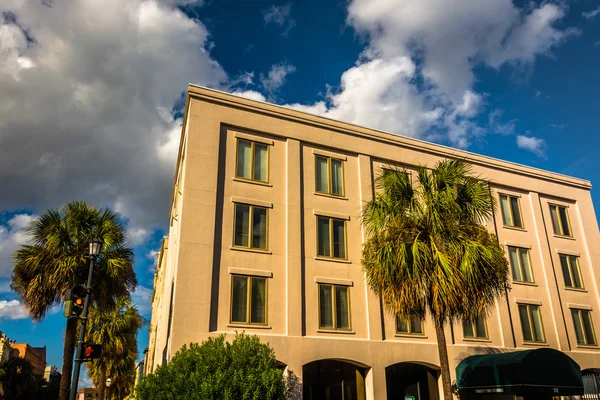Palm trees and building on Vendue Street in Charleston, South Ca — Stock Photo, Image