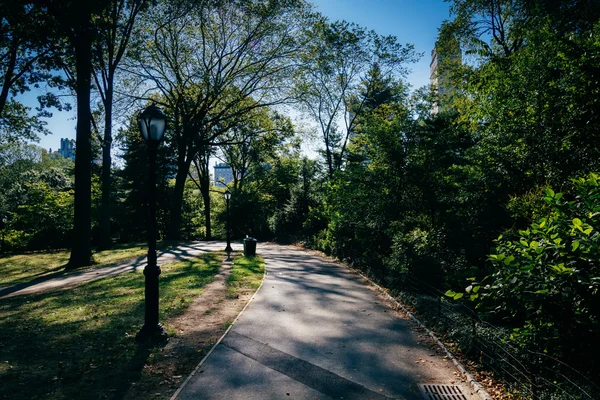 Path in Central Park, Manhattan, New York. — Stock Photo, Image