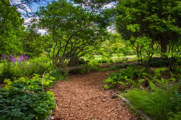 Väg genom en trädgård på cylburn arboretum, baltimore, maryland. — Stockfoto