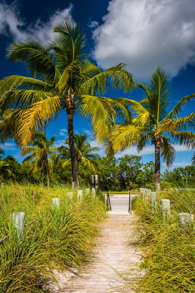 Smathers Beach, Key West, Fl, plaj ve palmiye ağaçları yolu — Stok fotoğraf