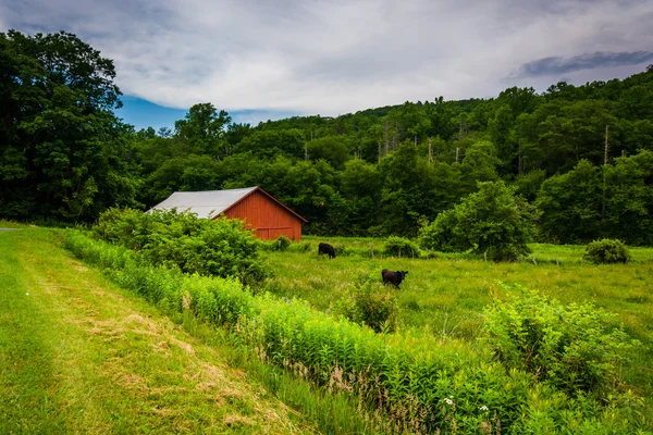 Czerwona stodoła wzdłuż Blue Ridge Parkway, w pobliżu Blowing Rock, północ — Zdjęcie stockowe