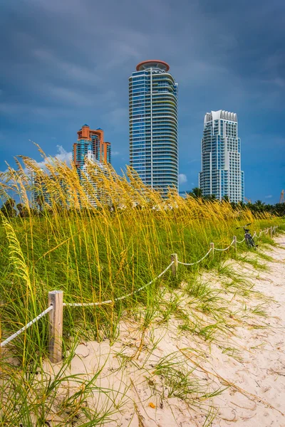 Sanddünen und Wolkenkratzer in miami beach, florida. — Stockfoto