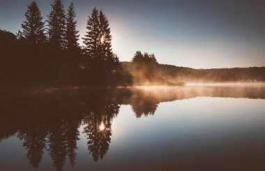 güneş doğarken, Ladin ağacı, çam ağaçları ve sis parlar 