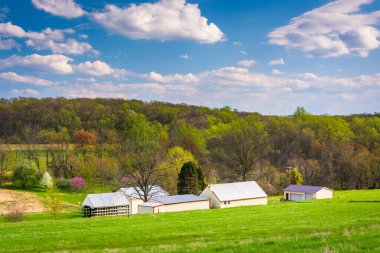 Kırsal York County, Pennsylvania bir çiftlikte binaların görünümü. 