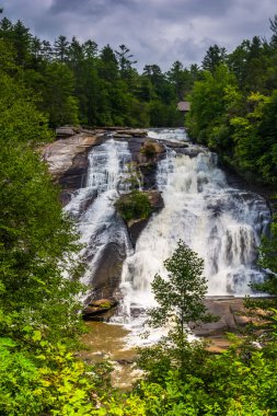 Görünüm High Falls Dupont Eyalet Ormanı, Kuzey Karolina.