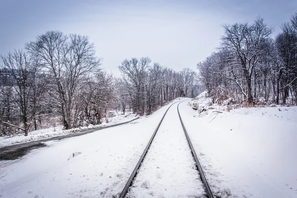 Demiryolu parça kırsal Carroll County, Pennsylvan kar kaplı — Stok fotoğraf