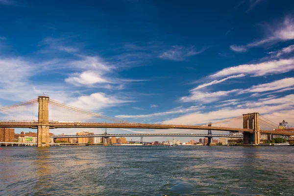 Die brooklyn bridge, über den east river, vom pier 15 aus gesehen, mann — Stockfoto