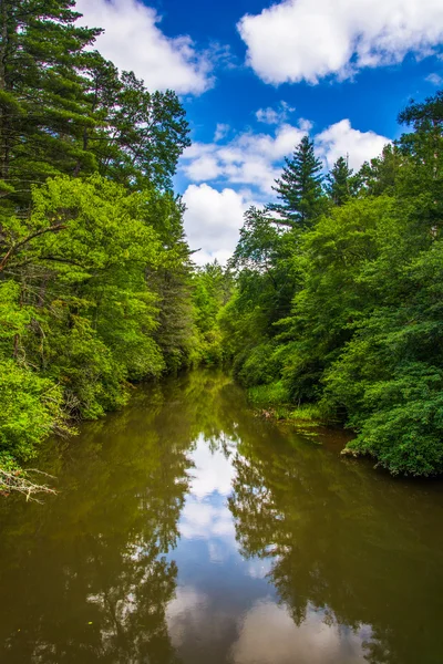 Der kleine Fluss, im duponten Staatswald, nördlich von Carolina. — Stockfoto