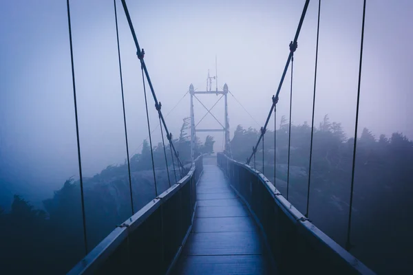 The Mile-High Swinging Bridge dans le brouillard, à Grandfather Mountain, N — Photo