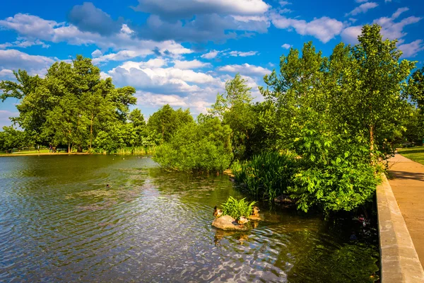 The pond at Patterson Park, in Baltimore, Maryland. — Stock Photo, Image